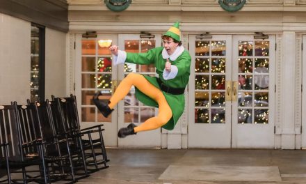 The Chattanooga Elf Spreading Holiday Cheer