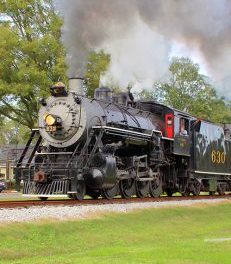 The 4501 Steam Locomotive