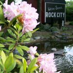 Spring at Rock City