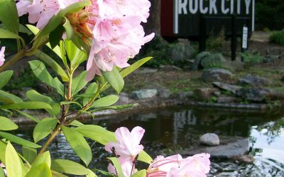 Spring at Rock City
