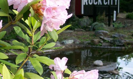 Spring at Rock City